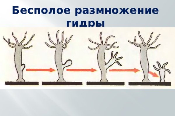Kraken даркнет gigageek ru