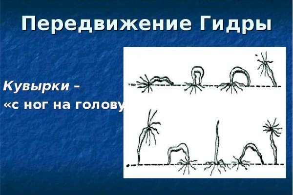 Через какой браузер зайти на кракен