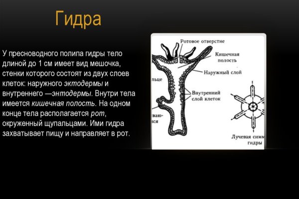 Kraken это современный маркетплейс