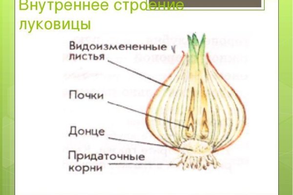Кракен ссылка на сайт