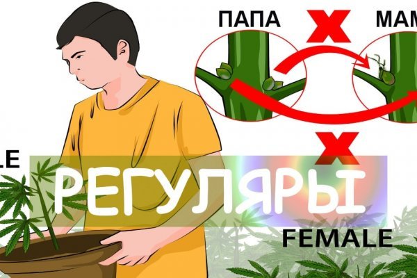 Линк кракена