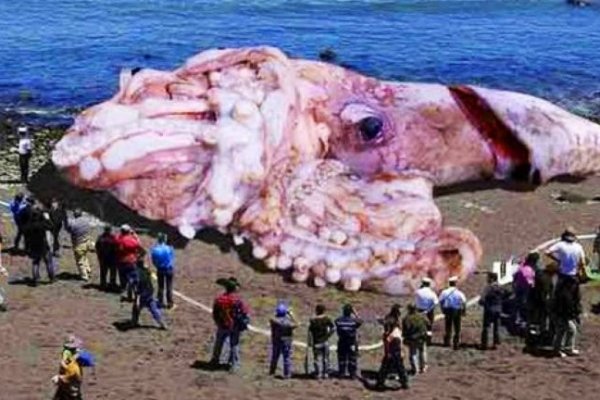 Кракен зарегистрироваться