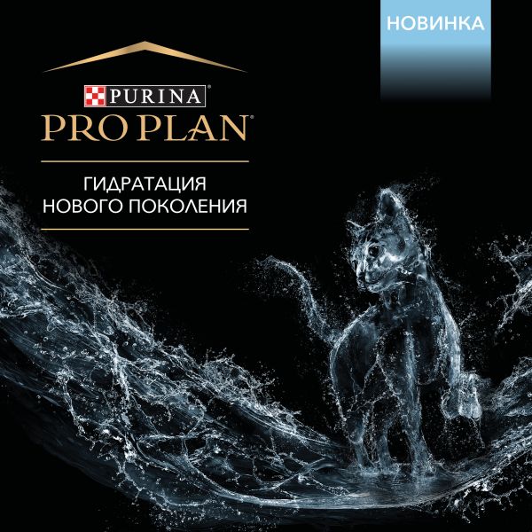 Кракен ссылка орион